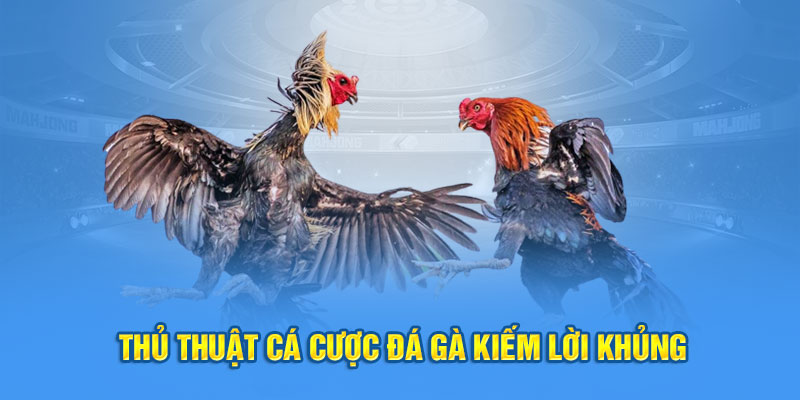 Thủ thuật cá cược đá gà kiếm lời khủng