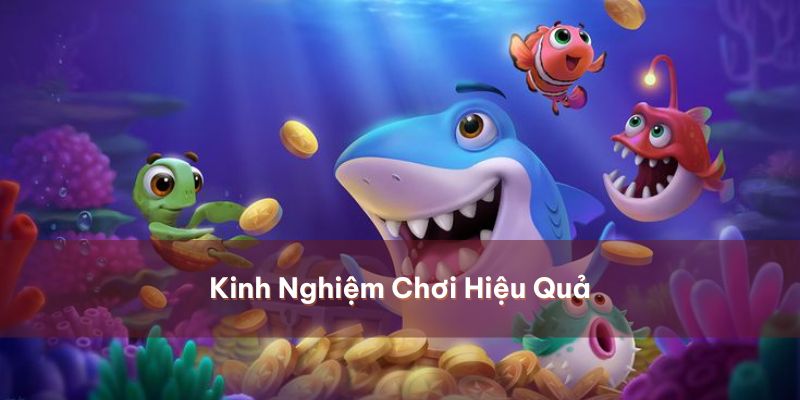 Tận dụng tốt các vật phẩm sport